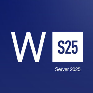 Microsoft Windows Server 2025 Standard